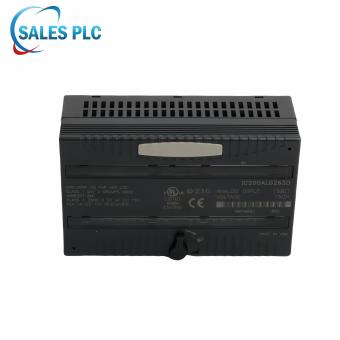 IC200ALG263