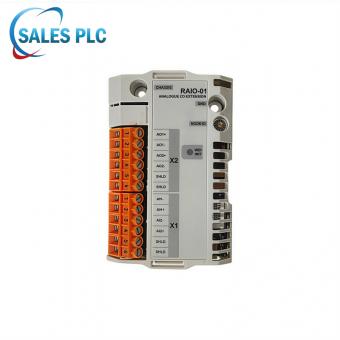 RAIO-01 64606841