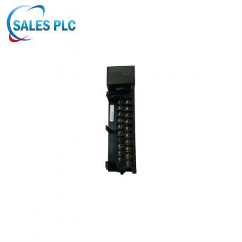 IC693ALG220