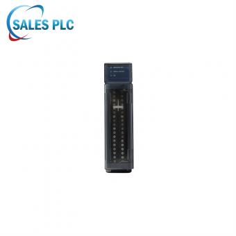 IC695ALG808